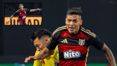 Descripción de la imagen