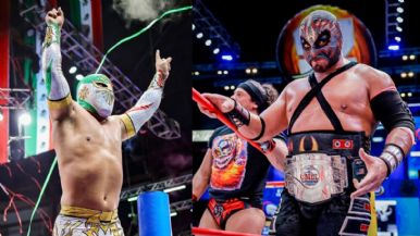 Descripción de la imagen