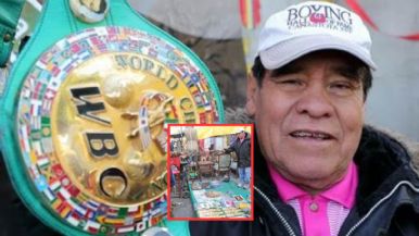 Descripción de la imagen