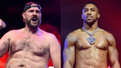 Descripción de la imagen