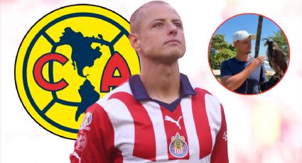 ¿Chicharito lanza guiño al América? La razón por la que posó con un águila en redes sociales