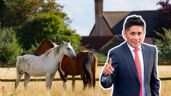Foto ilustrativa de la nota titulada: Así luce la lujosa propiedad de Jorge Campos en Acapulco de 3.5 millones de dólares