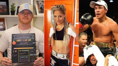 Descripción de la imagen