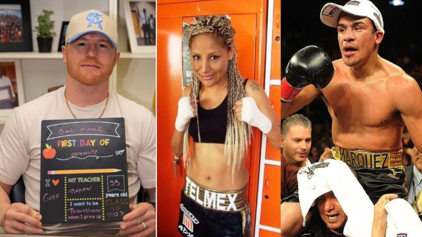 ¡Canelo Álvarez sigue sus pasos! Los boxeadores que tienen un título universitario