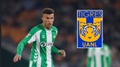 Foto ilustrativa de la nota titulada: ¿Traición a Rayados? Nelson Deossa estaría en la mira de Tigres; esto se sabe