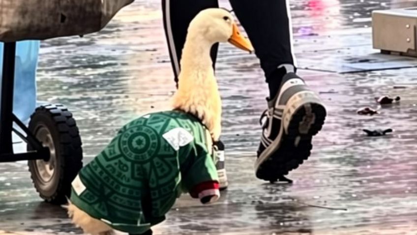 El Pato Merlín enternece las redes con su jersey de México en el Mundial 2026
