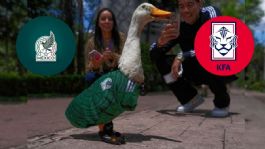 Foto que representa a Mundial 2026: El Pato Merlín predice al ganador de México vs Corea del Sur; ¿quién ganará?