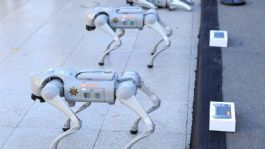Foto que representa a Perros Robot ya vigilan el Estadio Monterrey para el partido 1000 en los Mundiales
