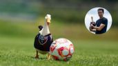 Foto ilustrativa de la nota titulada: ¿Pato Merlín a la Liga MX? Atlante lo anuncia como refuerzo previo al Apertura 2026