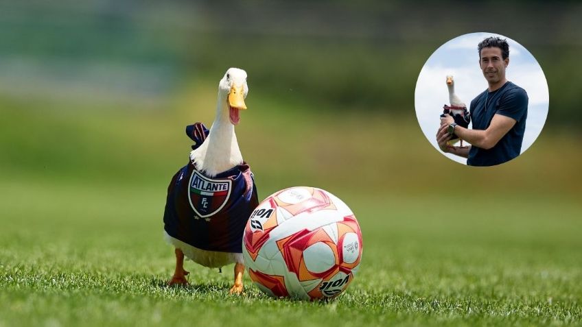 ¿Pato Merlín a la Liga MX? Atlante lo anuncia como refuerzo previo al Apertura 2026