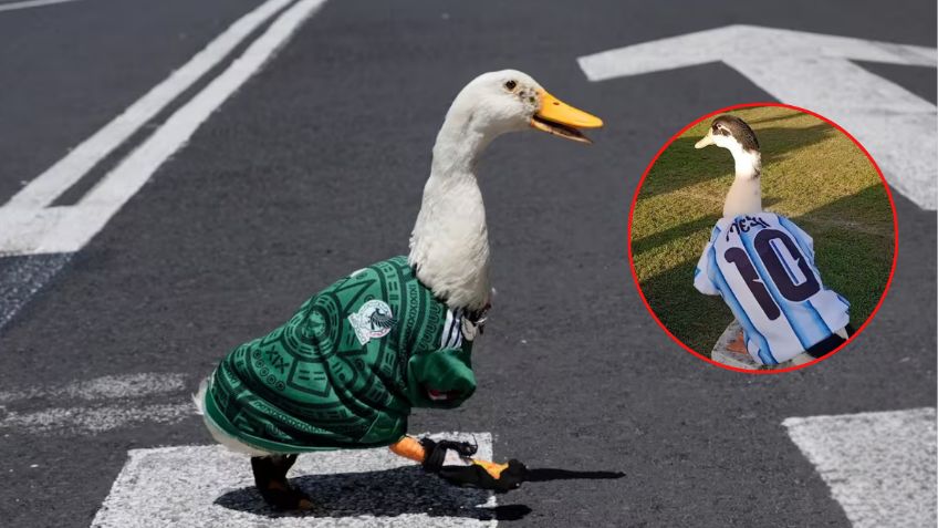 Argentina tiene a su propio Pato Merlín: El Pibito, la nueva sensación del Mundial 2026