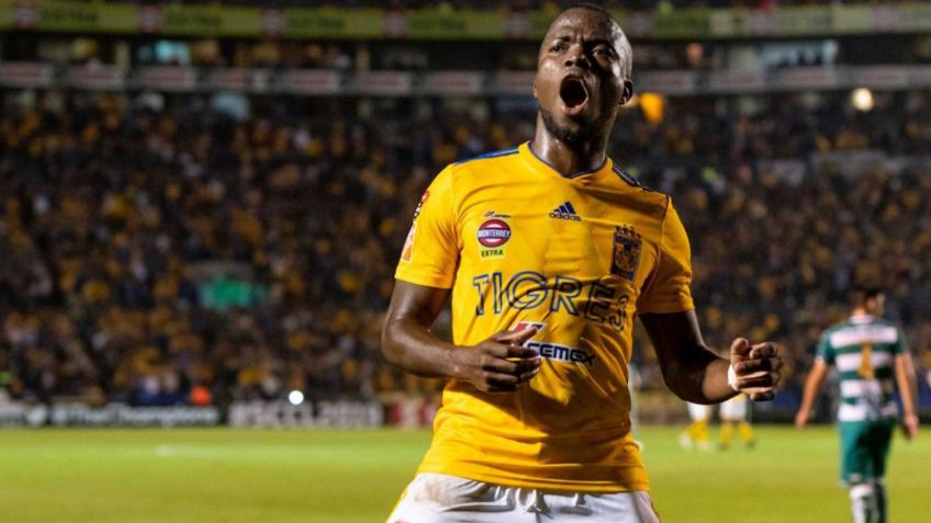 5 ídolos de la Selección de Ecuador que brillaron con luz propia en la Liga MX