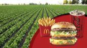 Foto ilustrativa de la nota titulada: McDonald’s lleva el sabor del campo mexicano a la cancha mundialista
