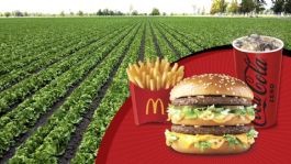 Foto que representa a McDonald’s lleva el sabor del campo mexicano a la cancha mundialista