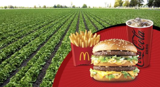 McDonald’s lleva el sabor del campo mexicano a la cancha mundialista