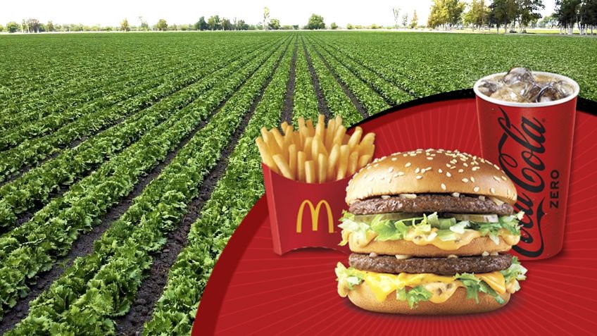McDonald’s lleva el sabor del campo mexicano a la cancha mundialista